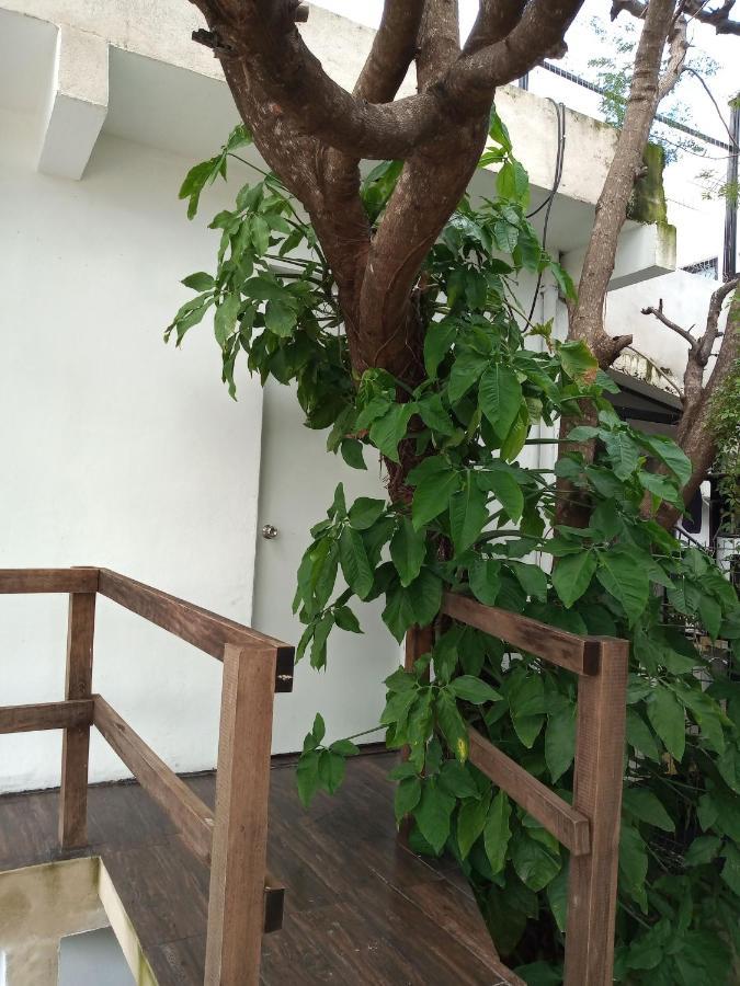 Estudio Zona Centro Cerca De La Terminal Ado Cancún Zewnętrze zdjęcie
