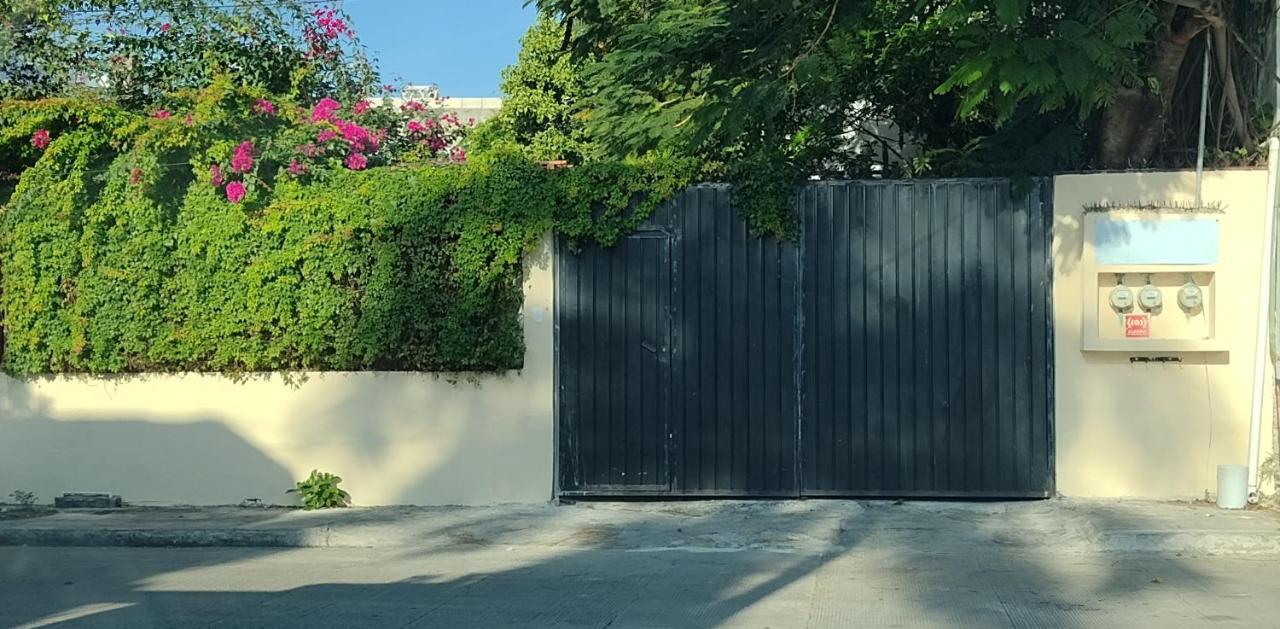 Estudio Zona Centro Cerca De La Terminal Ado Cancún Zewnętrze zdjęcie