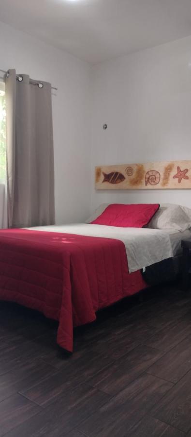 Estudio Zona Centro Cerca De La Terminal Ado Cancún Zewnętrze zdjęcie