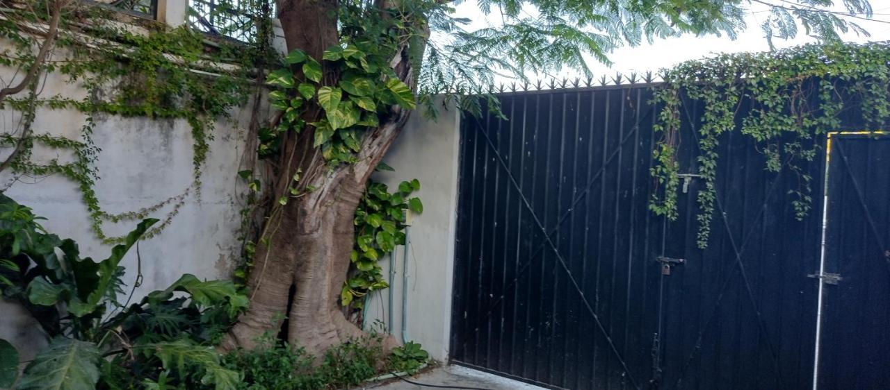 Estudio Zona Centro Cerca De La Terminal Ado Cancún Zewnętrze zdjęcie