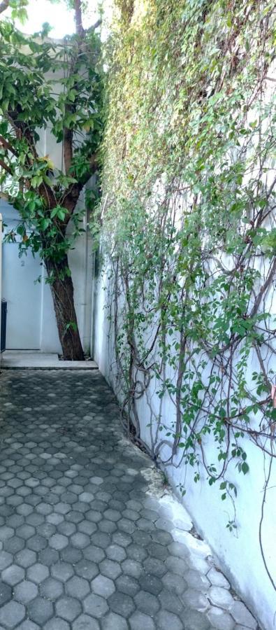 Estudio Zona Centro Cerca De La Terminal Ado Cancún Zewnętrze zdjęcie
